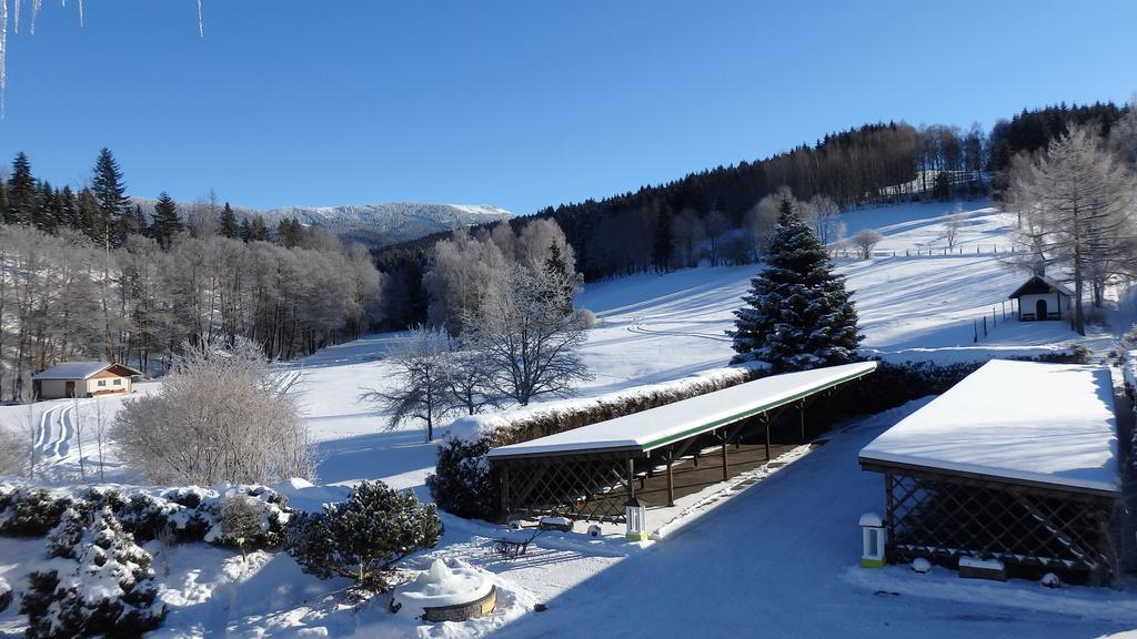 Landhotel Gruenwies -Bonsai-Wellness Garni (Adults Only) Lohberg Zewnętrze zdjęcie